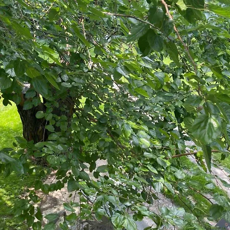 Filip Belgrad